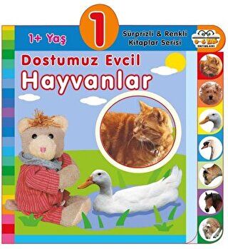 1+ Yaş Dostumuz Evcil Hayvanlar kapağı