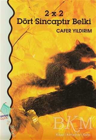2 x 2 Dört Sincaptır Belki