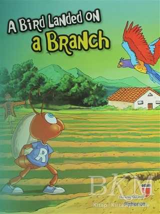 A Bird Landed on a Branch - Patience