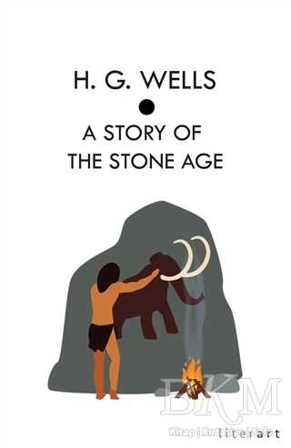 A Story Of The Stone Age kapağı