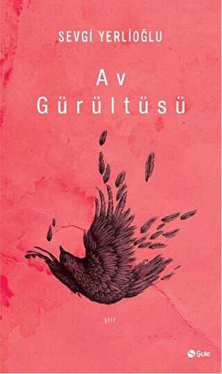 AV GÜRÜLTÜSÜ