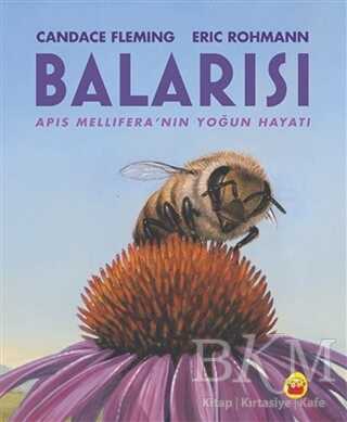 Balarısı kapağı