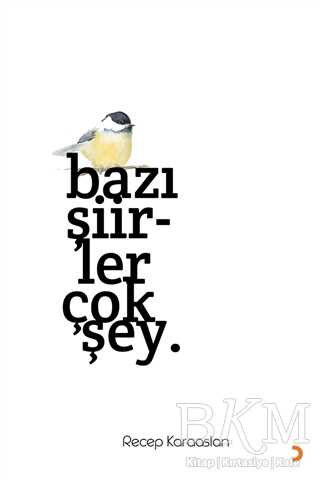 Bazı Şiirler Çok Şey.