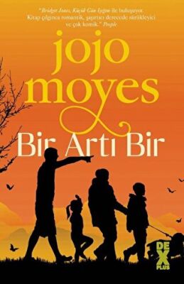 Bir Artı Bir kapağı