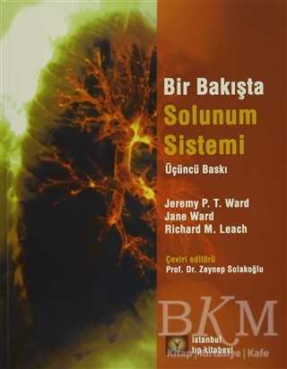 Bir Bakışta Solunum Sistemi