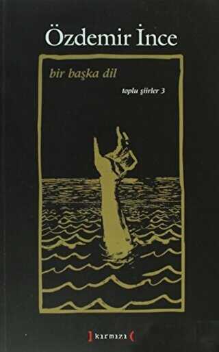 Bir Başka Dil: Toplu Şiirler 3