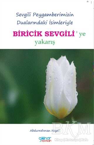 Biricik Sevgili`ye Yakarış kapağı