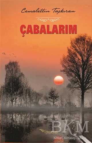 Çabalarım