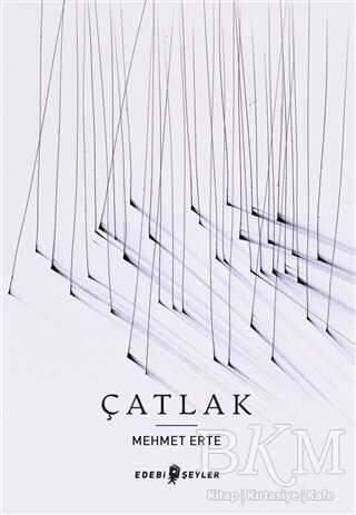 Çatlak kapağı