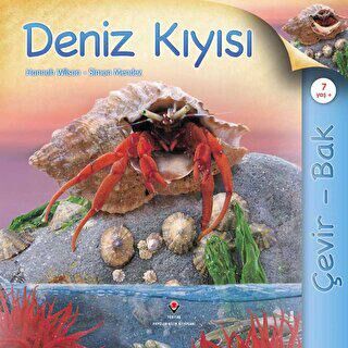 Çevir Bak - Deniz Kıyısı