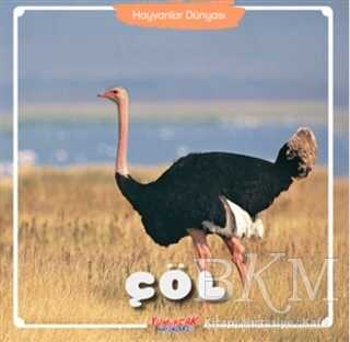 Çöl - Hayvanlar Dünyası kapağı