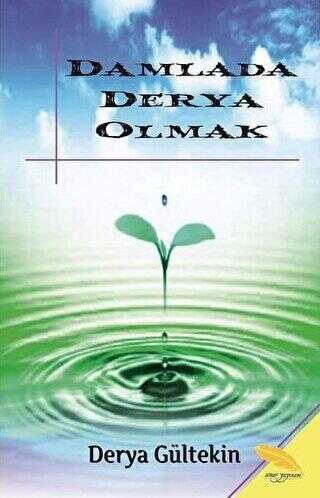 Damlada Derya Olmak kapağı