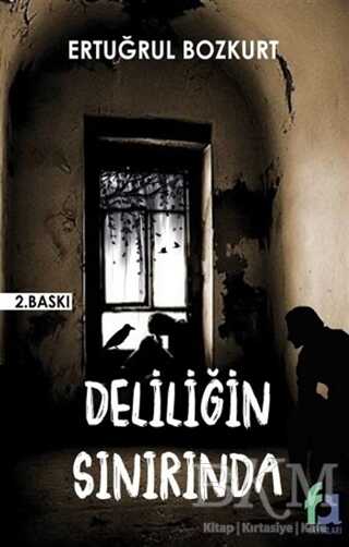 Deliliğin Sınırında kapağı