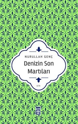 Denizin Son Martıları kapağı