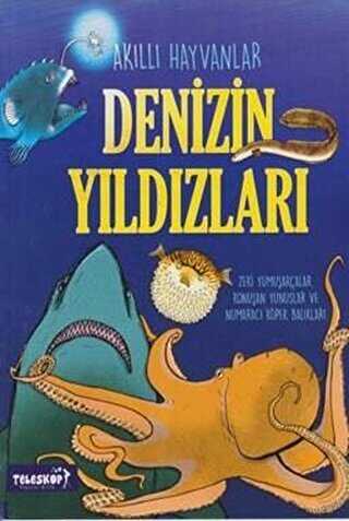 Denizin Yıldızları