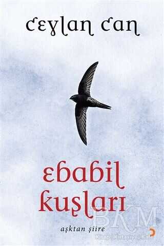 Ebabil Kuşları