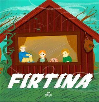 Fırtına - Tohumlu Kitap kapağı