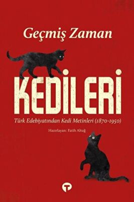 Geçmiş Zaman Kedileri kapağı