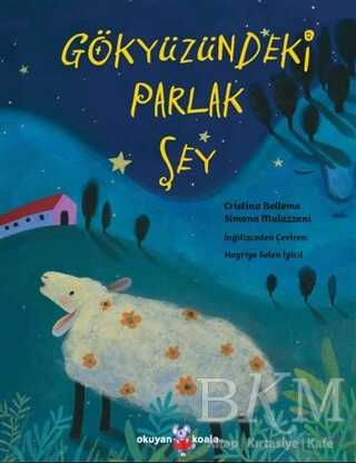 Gökyüzündeki Parlak Şey kapağı