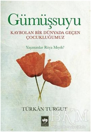 Gümüşsuyu