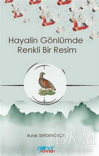 Hayalin Gönlümde Renkli Bir Resim kapağı