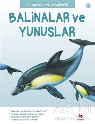 İlk Sorular ve Cevaplarla: Balinalar ve Yunuslar kapağı