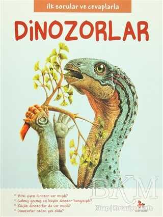 İlk Sorular ve Cevaplarla: Dinozorlar kapağı