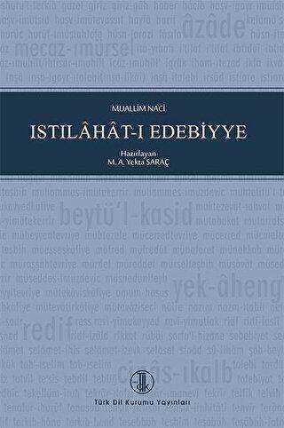 Islıhat-ı Edebiyye