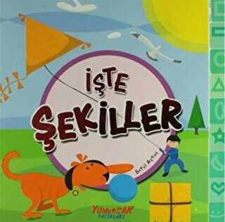 İşte Şekiller