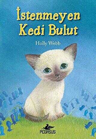 İSTENMEYEN KEDİ BULUT