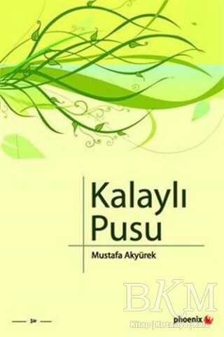 Kalaylı Pusu kapağı