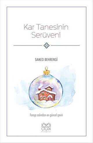 Kar Tanesinin Serüveni