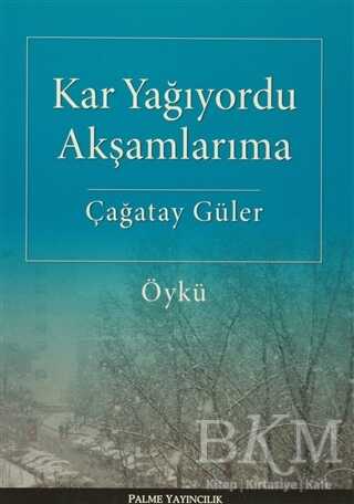 Kar Yağıyordu Akşamlarıma