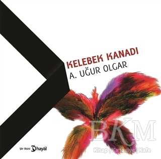 Kelebek Kanadı