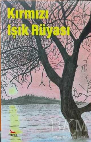 Kırmızı Işık Rüyası kapağı