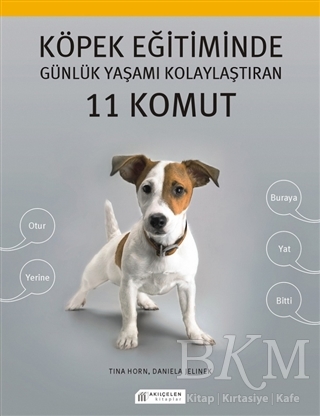 Köpek Eğitiminde Günlük Yaşamı Kolaylaştıran 11 Komut