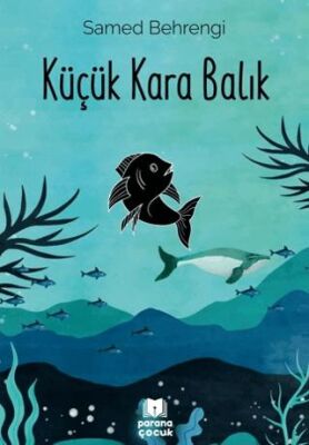 Küçük Kara Balık kapağı