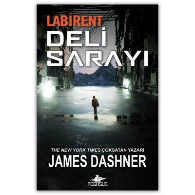 Labirent: Deli Sarayı kapağı
