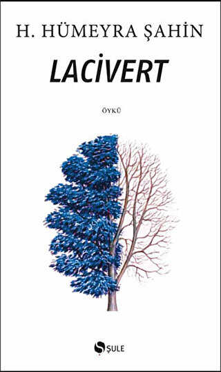 LACİVERT