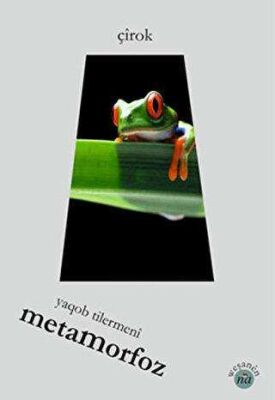 Metamorfoz