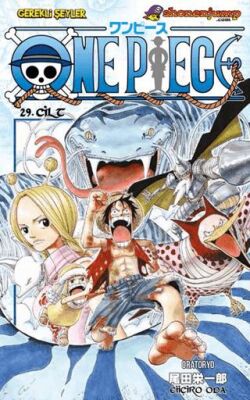 One Piece 29. Cilt