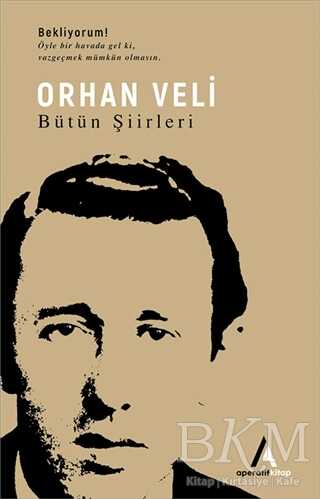 Orhan Veli - Bütün Şiirleri kapağı
