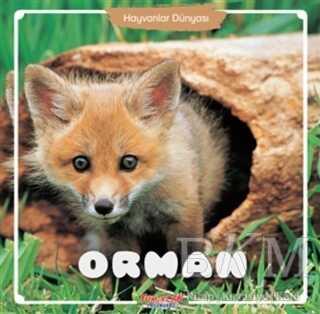 Orman - Hayvanlar Dünyası kapağı