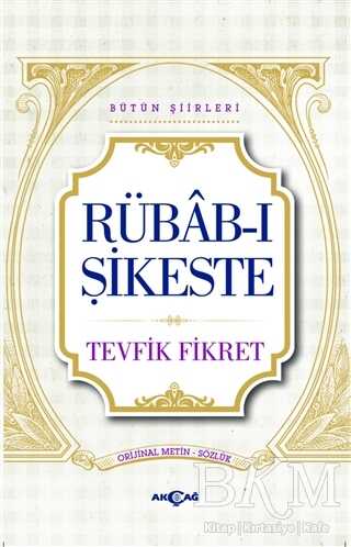 Rübab-ı Şikeste