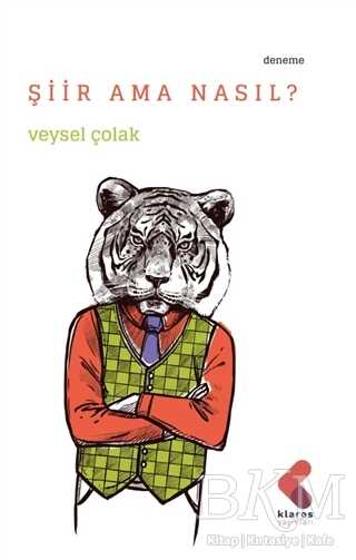 Şiir Ama Nasıl? kapağı