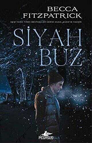 Siyah Buz