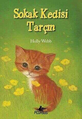 SOKAK KEDİSİ TARÇIN