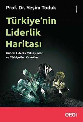 Türkiye’nin Liderlik Haritası