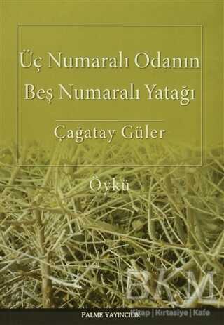 Üç Numaralı Odanın Beş Numaralı Yatağı