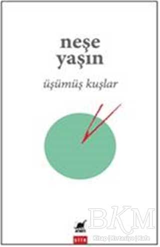Üşümüş Kuşlar